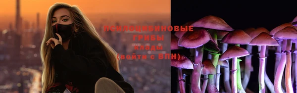 скорость Богданович