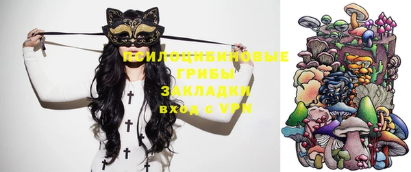 ешки Богородицк