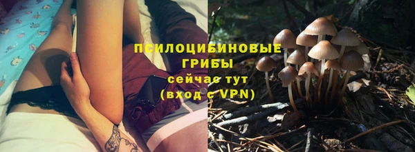 дживик Снежинск