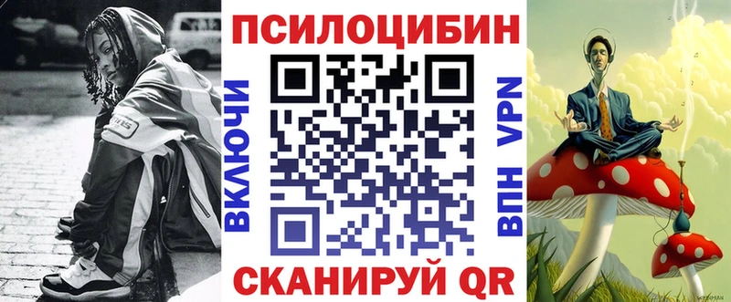 купить Колпашево Псилоцибиновые грибы MAGIC MUSHROOMS